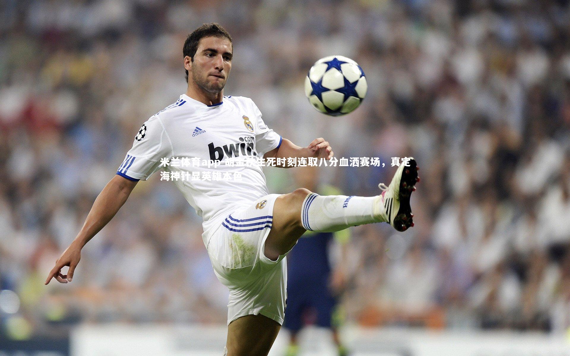 胡金秋生死时刻连取八分血洒赛场，真定海神针显英雄本色